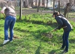 На кафедрі садово-паркового господарства відбувся суботник